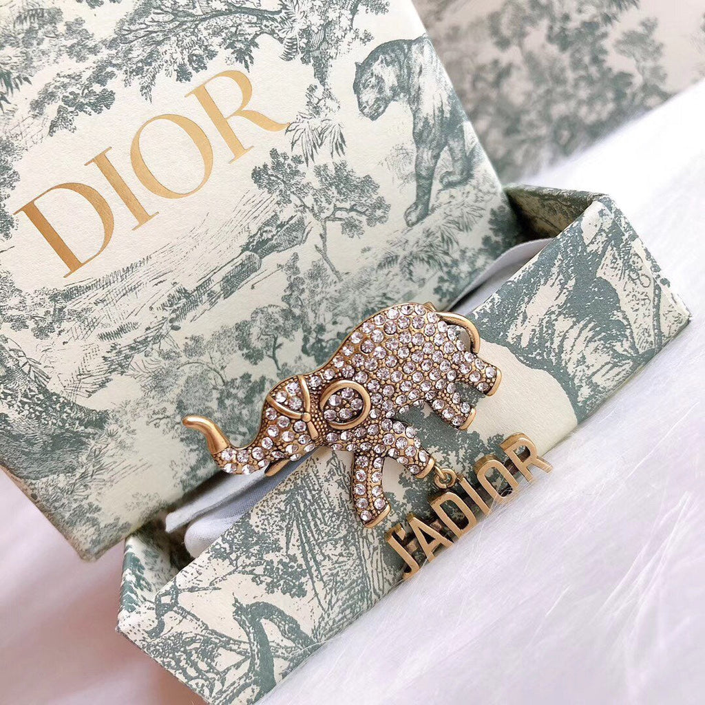 DIOR CD Brooch 03