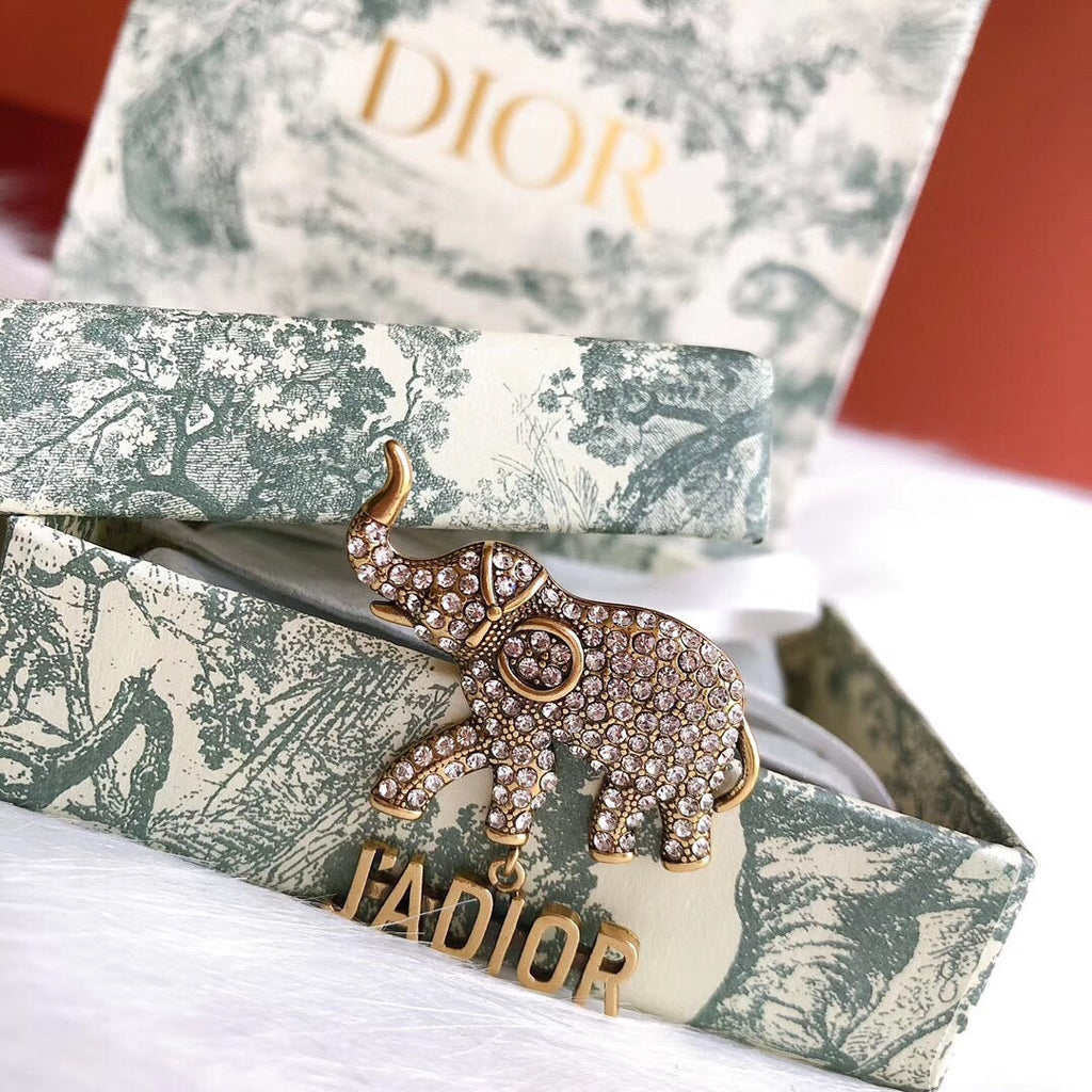 DIOR CD Brooch 03