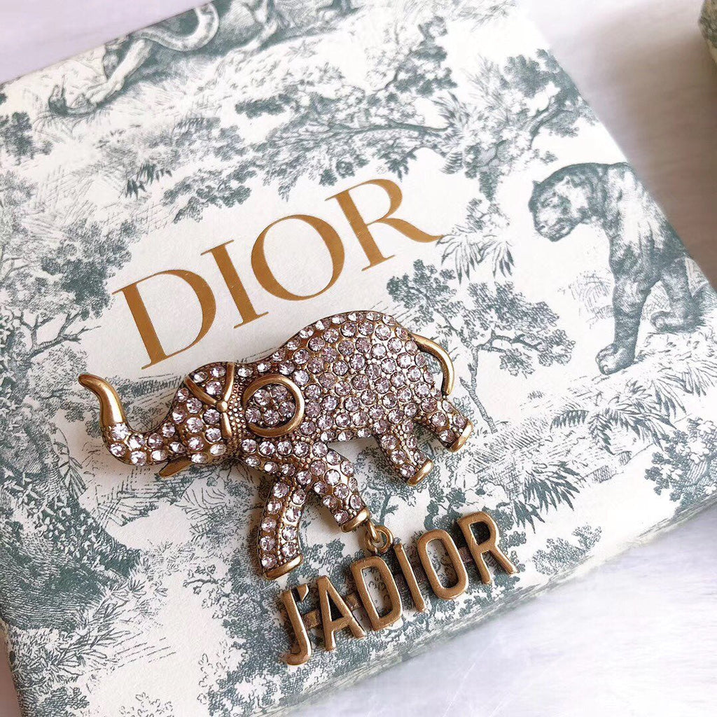 DIOR CD Brooch 03