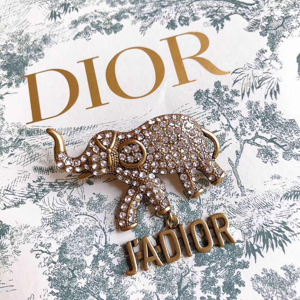 DIOR CD Brooch 03
