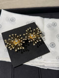 Chanel 2026 Sparkling Crystal Double C Firework Earrings