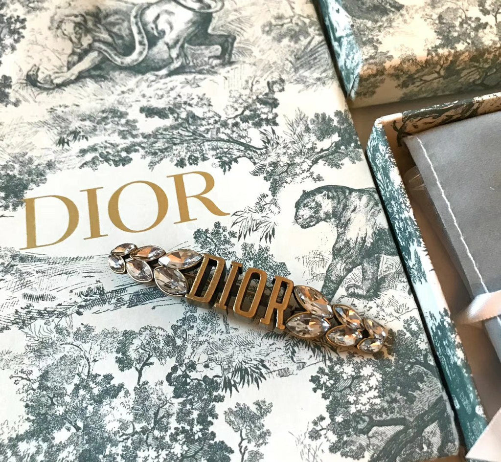 DIOR CD Brooch 01